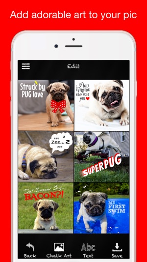 Pug Chalk Sticker Photo Editor(圖2)-速報App