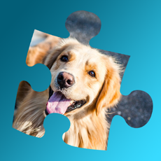 Activities of Dogpaw Jigsaw Puzzles - Cute Dogs and Puppies Game