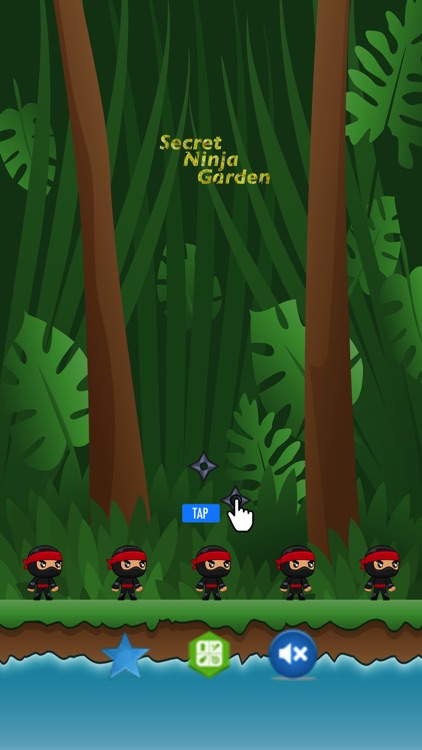 Secret Ninja Garden