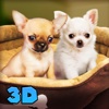 Chihuahua Dog Survival Simulator 3D