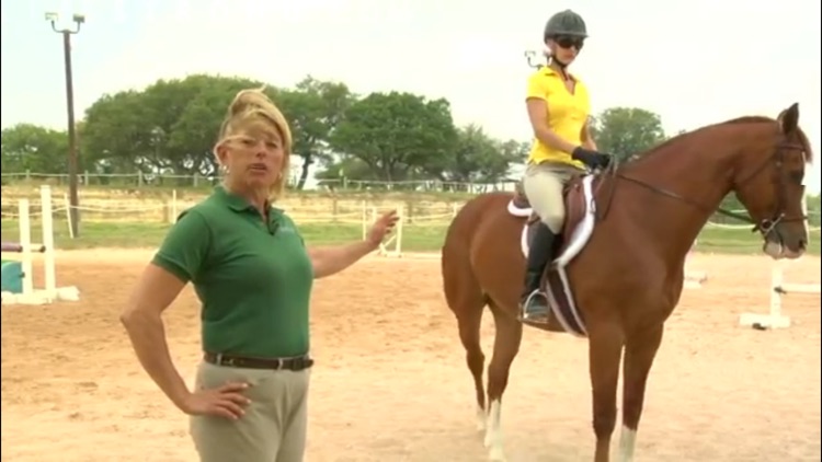 How To Ride A Horse