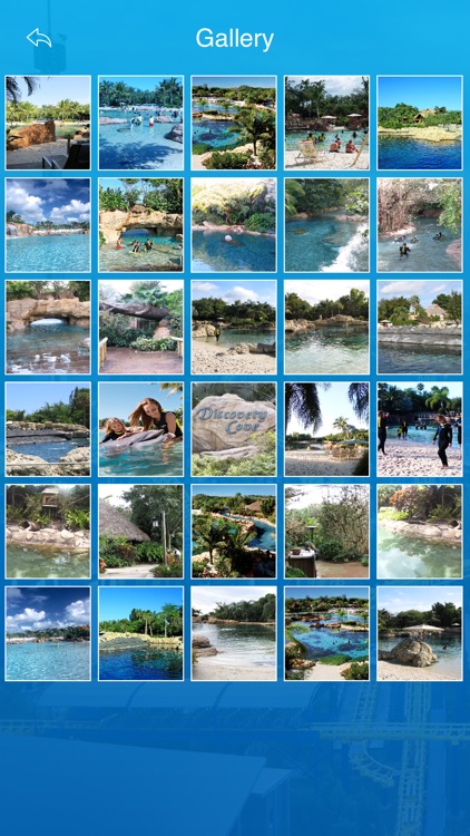 Best Guide for Discovery Cove screenshot-4