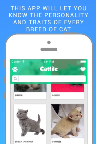 Cat File: The complete guide of cats breeds screenshot 4