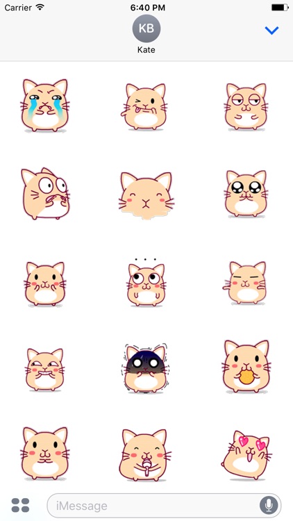 Big Cat: Animated Stickers