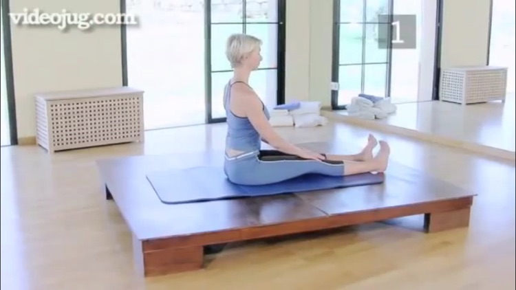 Pilates Genius screenshot-3