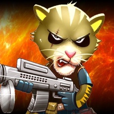 Activities of Virtual Kitty Cop