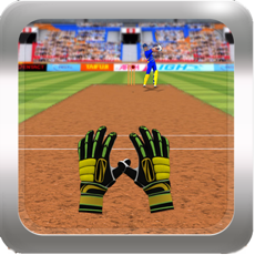 Activities of Cricket Fielder Challenge Pro