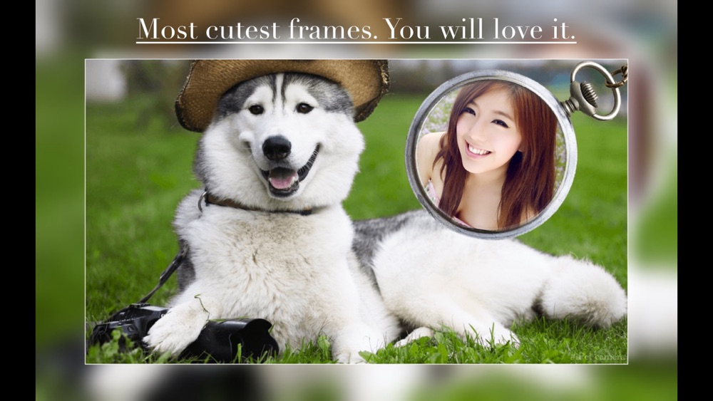 Instamag 画中画相机 Cute Pet Camera Free Download App For Iphone Steprimo Com