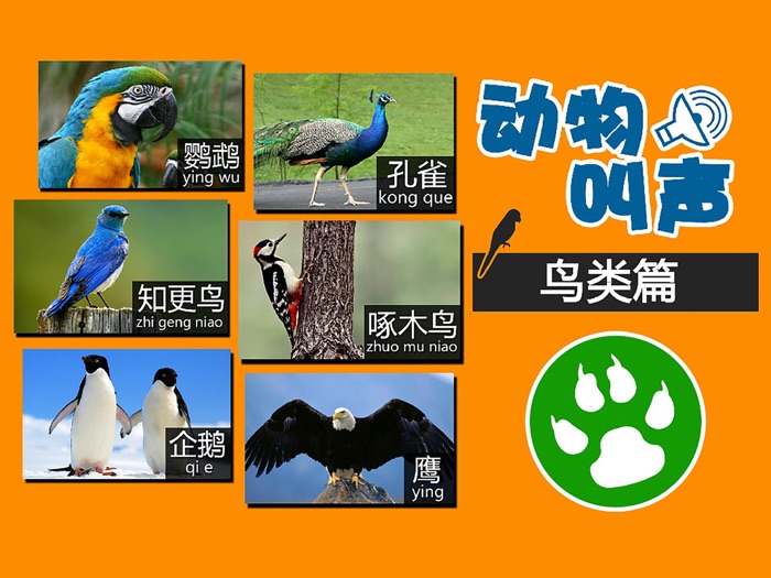 动物叫声-鸟类篇：动物园世界的叫声游戏