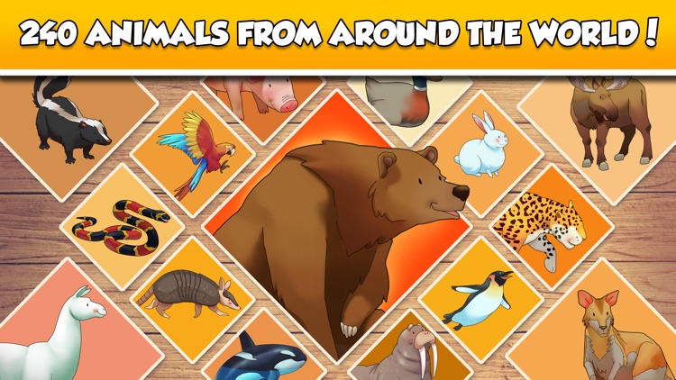 Fun Puzzle: World Animals