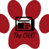 The Chat News