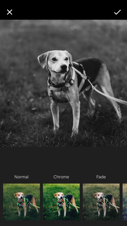 WM : Add Watermark to Your Photos screenshot-3