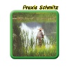 Praxis-Schmitz