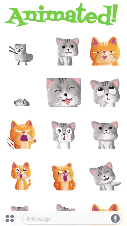 Cute Baby Cat Animated