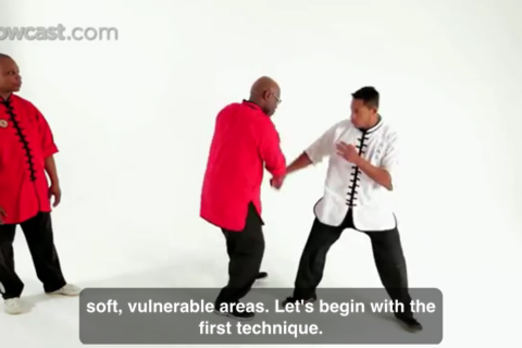 Shaolin Kung Fu Master Class - náhled
