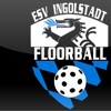 ESV Ingolstadt - Floorball