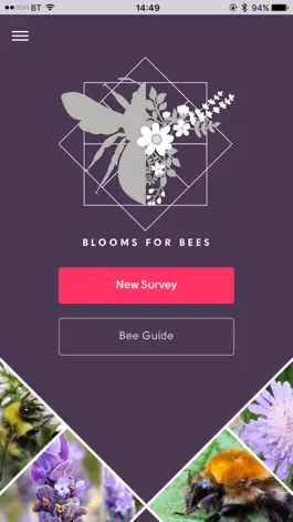 Game screenshot Blooms for Bees mod apk