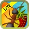 Smash Ants - Fun Counting Game For Kids LITE