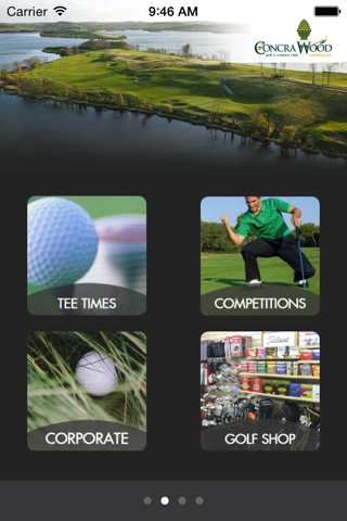 Concra Wood Golf screenshot 2