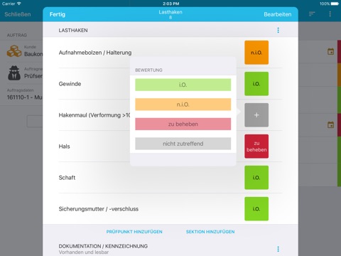 Lastaufnahmemittel / Anschlagmittel - Prüfung DGUV screenshot 3