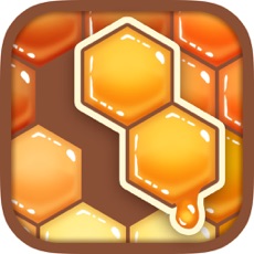 Activities of Honey Blocks -Hexa Puzzle-