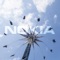 Icon Nokia Roadshows