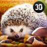 Get Forest Hedgehog Simulator 3D for iOS, iPhone, iPad Aso Report