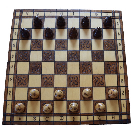 Checkers Expert Checkers Expert