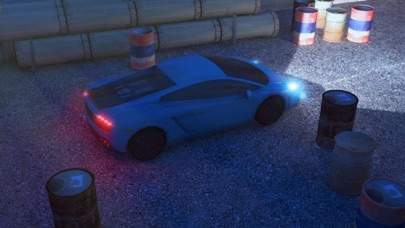 3D Night Parking Simu... screenshot1