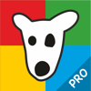 LTD DevelSoftware - Analyzer Pro for VK アートワーク
