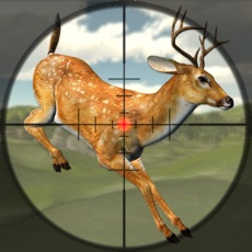 Activities of Deer Hunting - Elite Sniper