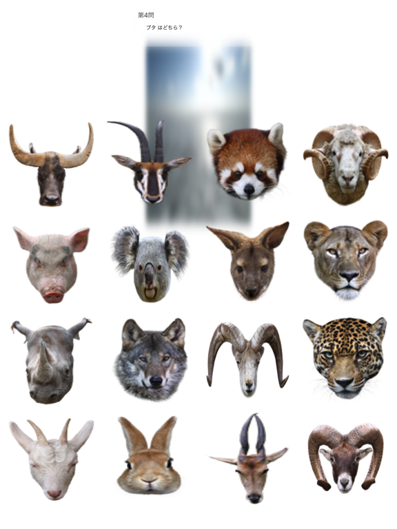 Animal Faces Touch 〜動物の顔を当ててみよう〜のおすすめ画像1