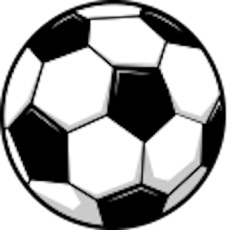 Activities of FootballMainia