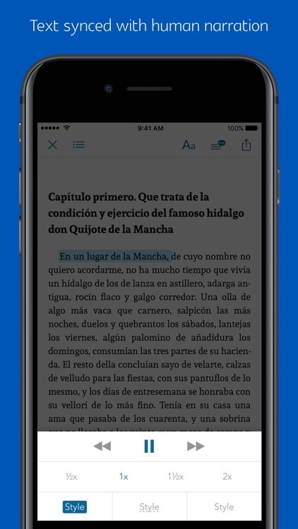 Don quixote - sync transcript, quiz