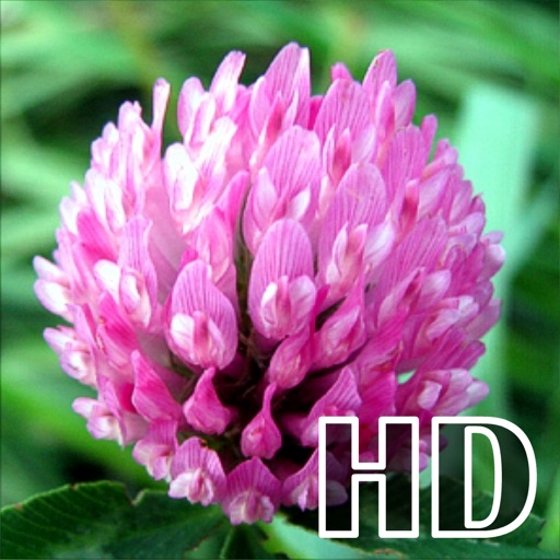 Biology - Plant handbook HD icon
