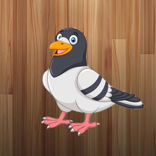 Pigeon Stickers icon