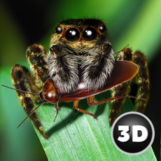 Activities of Poisonous Tarantula Spider Simulator