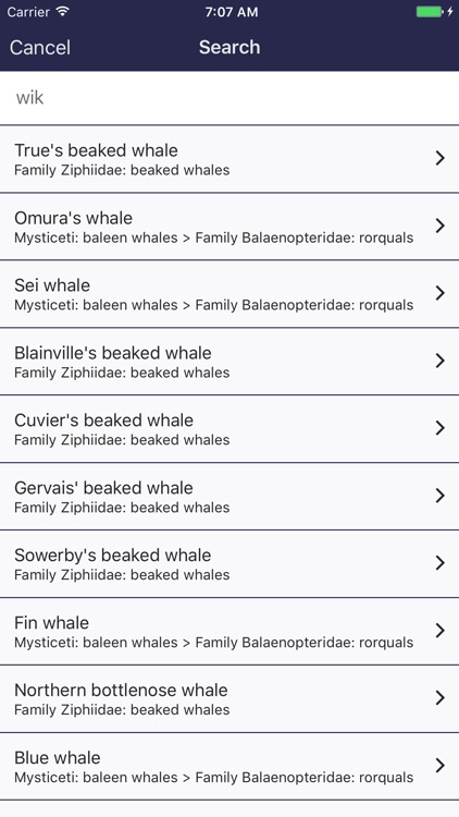 Whale Species: The Complete Compendium screenshot-3