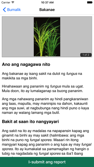 How to cancel & delete Rice Doctor Tagalog from iphone & ipad 4