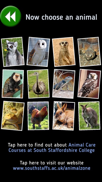 AnimalZone FaceBoards