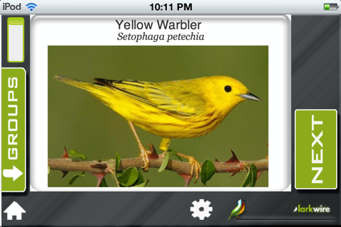 Learn Bird Watching—Larkwire screenshot 2