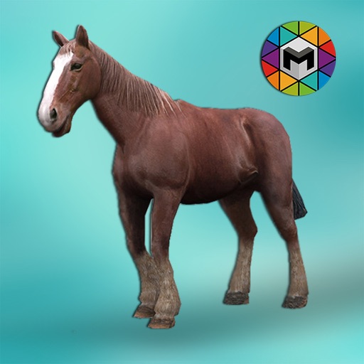 My Horse Simulator Icon