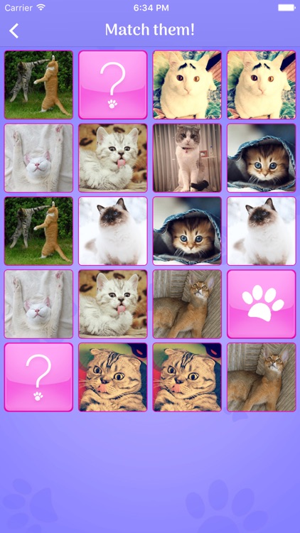 Cute Cats Memory Match Game
