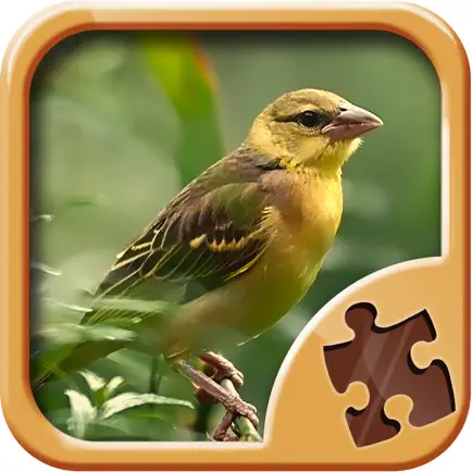 Birds Jigsaw Puzzles - Amazing Logical Game Cheats