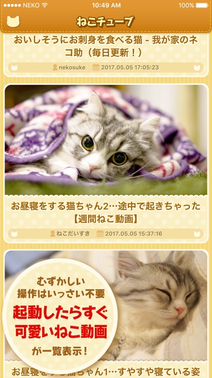 CatTube -Cat video app-