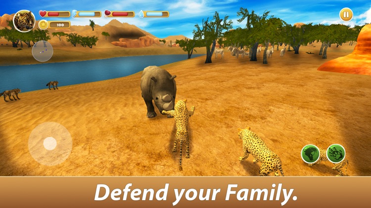 Leopard Family Simulator