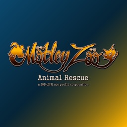 Motley Zoo icono