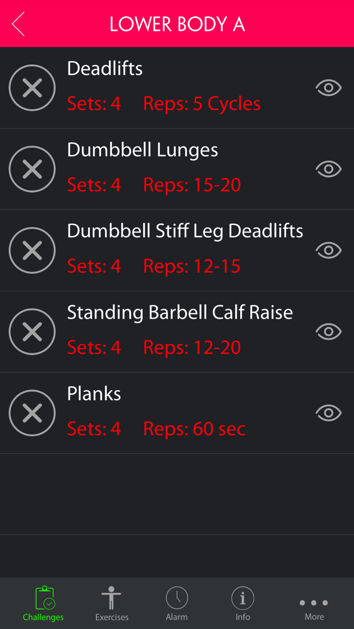 4 Day Home Muscle Building Plan