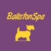 Ballston Spa Central District