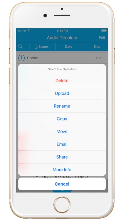 Audio Recorder Pro : Professional Voice Recorder